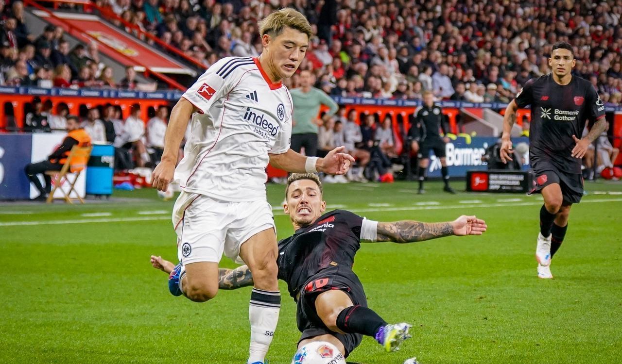 勒沃库森球, 回了一些口 勒沃库森球, 回了一些口