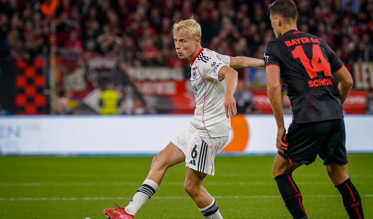 tenan, img, cn tenan, img, cn