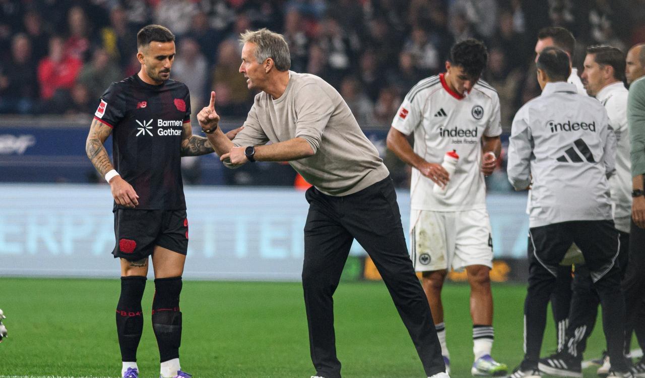 来的甜头 来的甜头